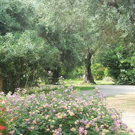 Daire Barbati Beach Apartments Barbati