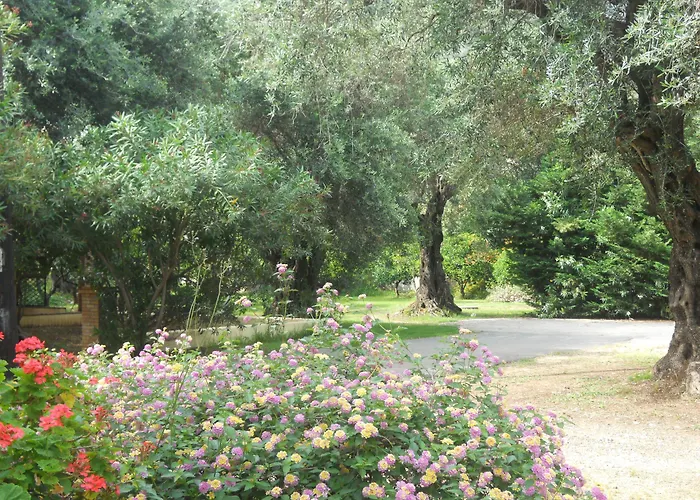 Apartment Barbati Beach Apartments Barbati