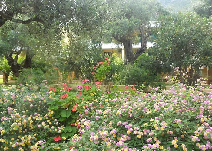 Barbati Beach Apartments * Barbati