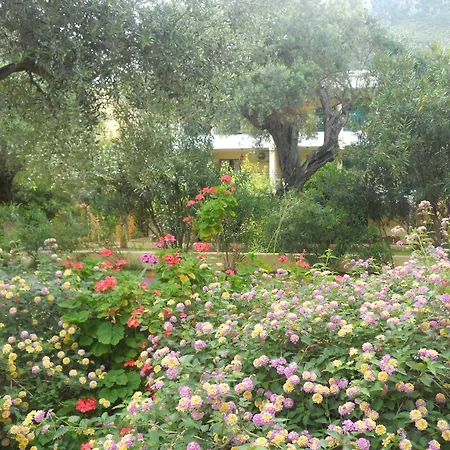 Barbati Beach Apartments * בארבאטי